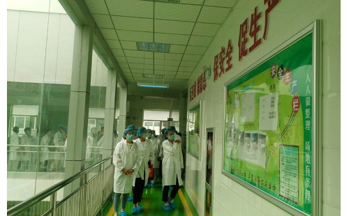 值公司成立十周年慶典，公司贊助萬(wàn)名老人免費(fèi)游寧夏系列活動(dòng)