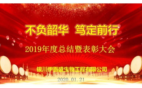 “不負(fù)韶華，篤定前行”2019總結(jié)表彰暨新春年會圓滿成功！